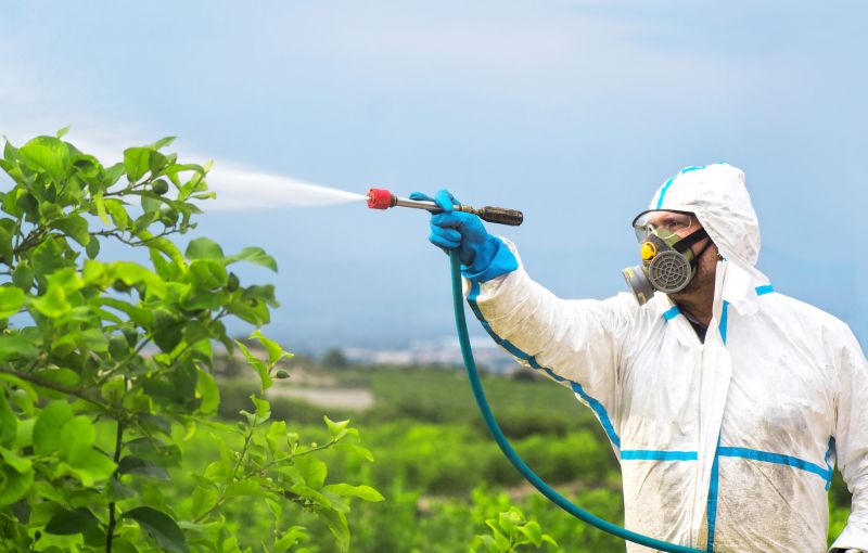Rat Fumigation Service in Kalamazoo, MI
