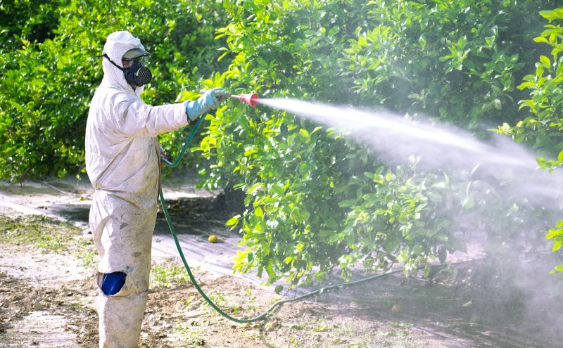 Residential Fumigation in Wilmington, DE