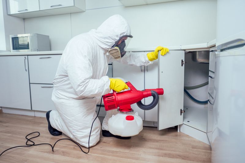 Dead Rodent Removal