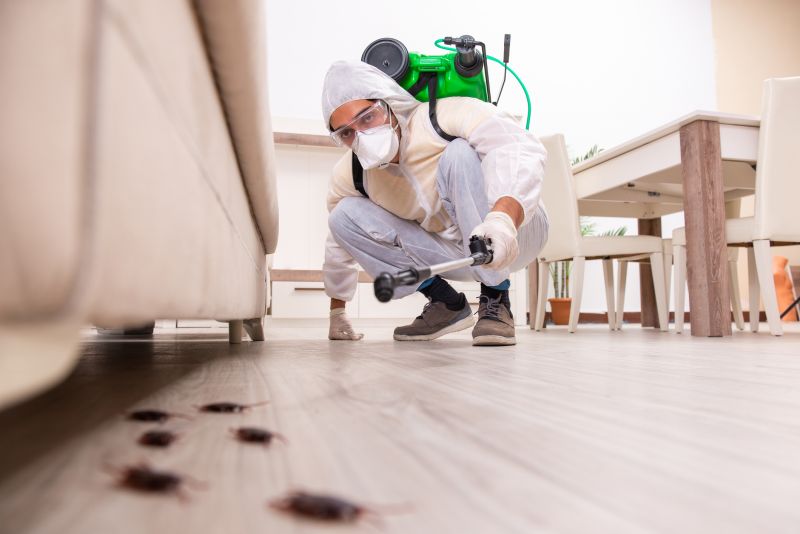 Local Pest Management Firms